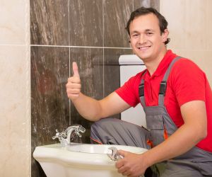 Why choose Watar Softener Installation Cedar Rapids IA Pros for water softener installation cedar rapids ia in Cedar Rapids